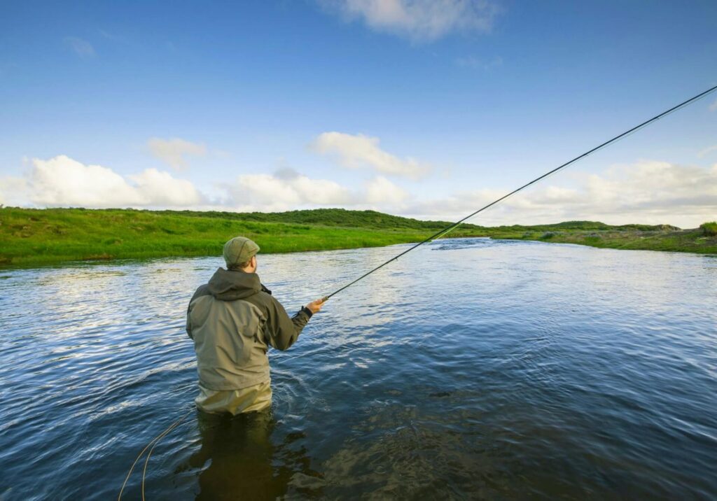 202943929__1561107695_89.101.103.103