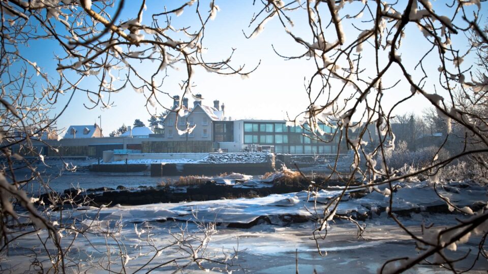 Ice House from Belleek